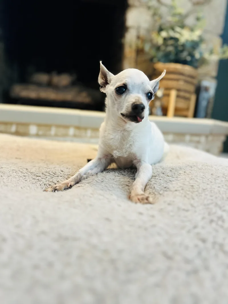 Pablo