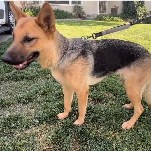 Nova Lee thumbnail 2