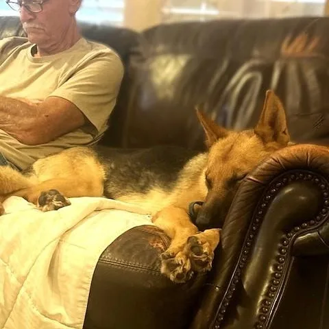 Nova Lee thumbnail 3