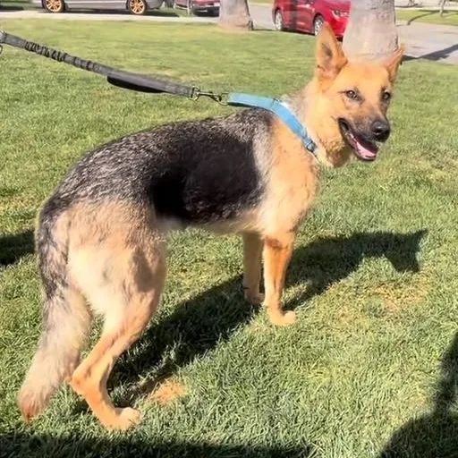 Nova Lee thumbnail 4