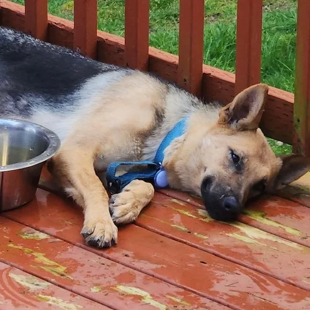 Nova Lee thumbnail 5