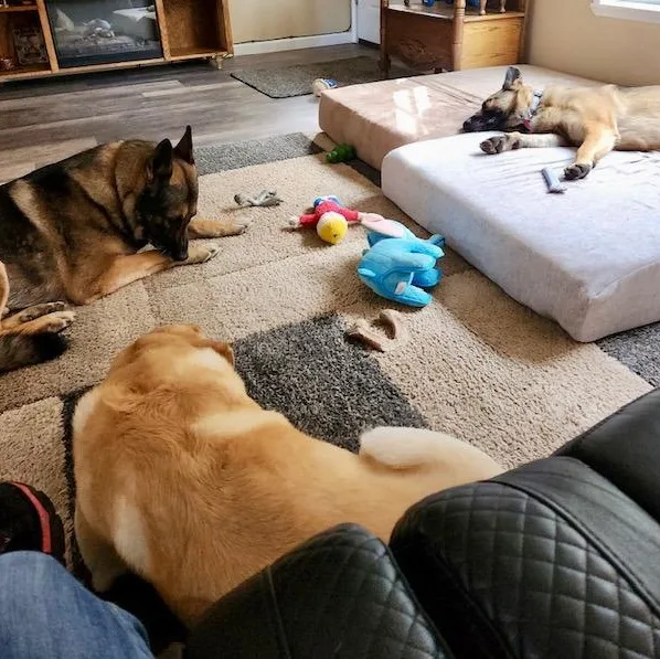 Nova Lee thumbnail 6