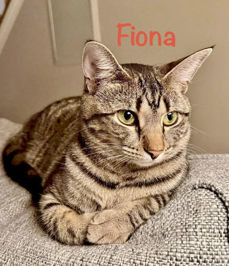 Fiona thumbnail 2