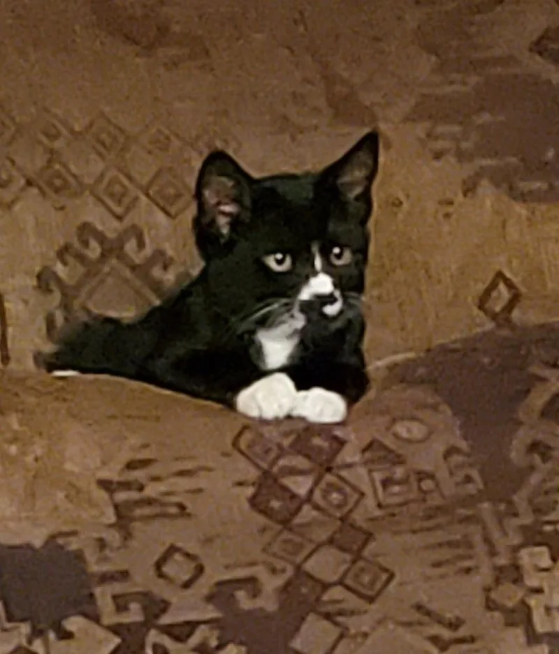 Lagniappe thumbnail 2