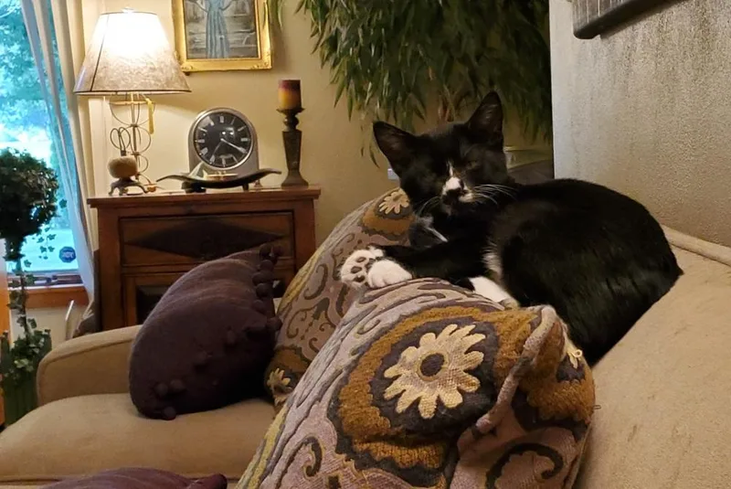 Lagniappe thumbnail 4