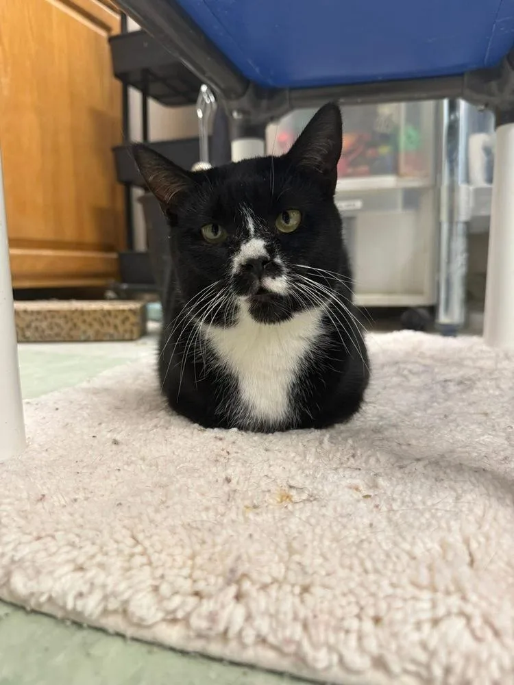 Lagniappe thumbnail 5