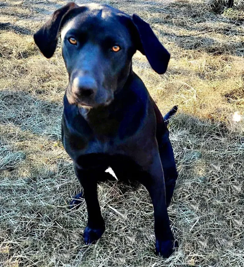 Bella Lea thumbnail 2