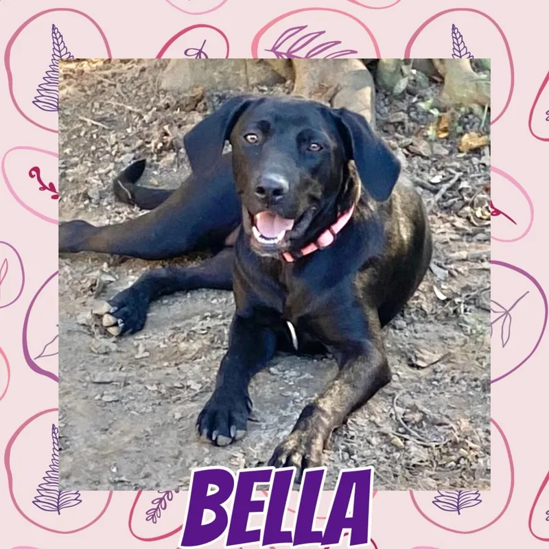 Bella Lea thumbnail 3