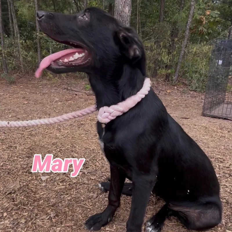 Mary thumbnail 3