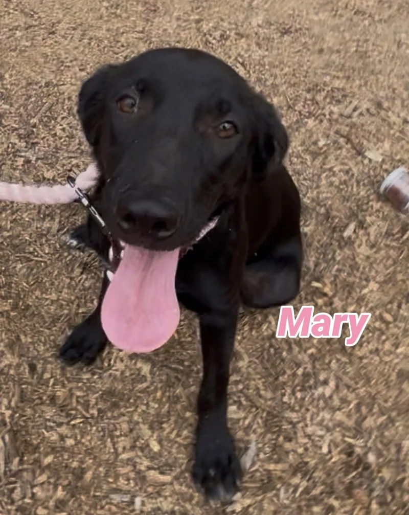 Mary thumbnail 4