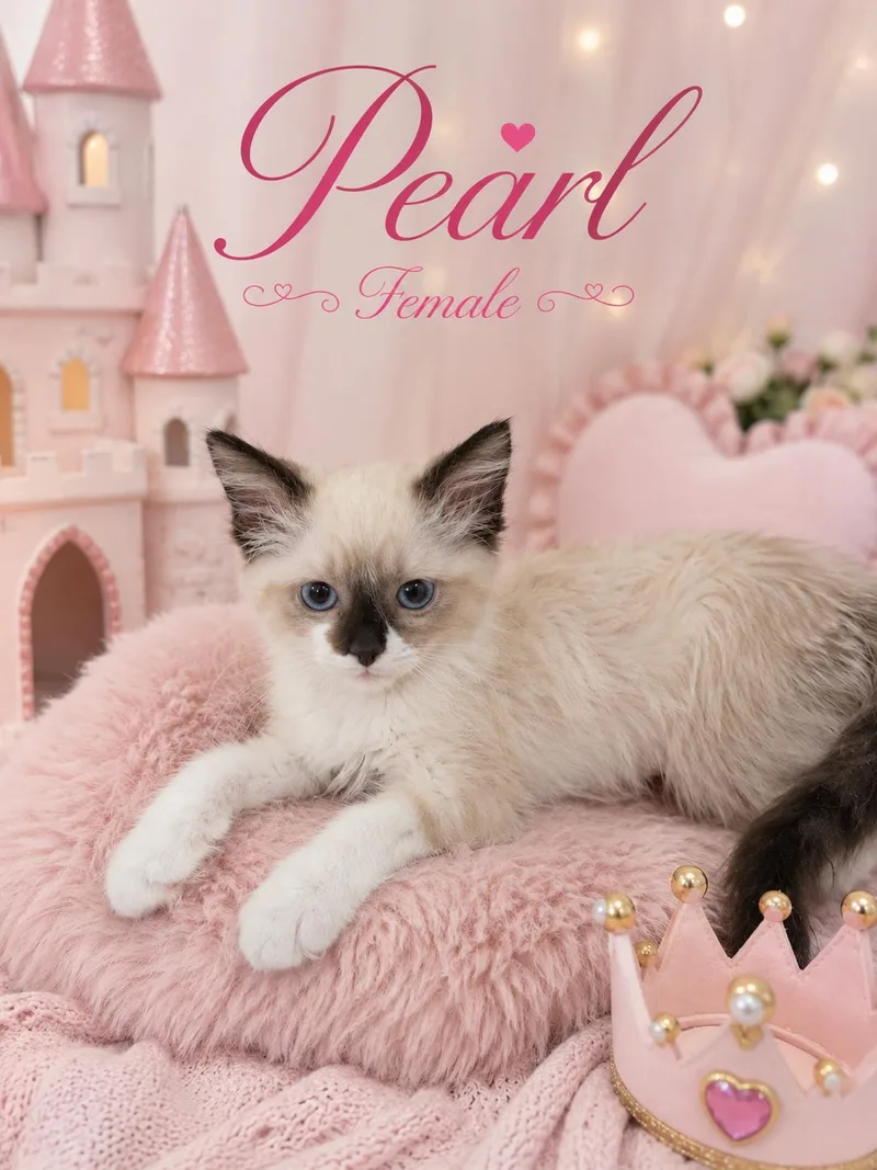 Prince And Pearl thumbnail 2