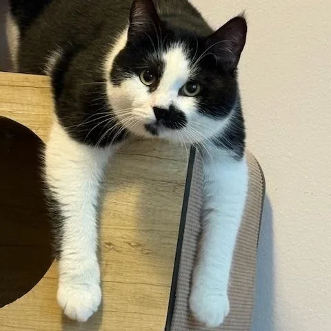 Charlie & Sandy thumbnail 3