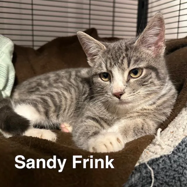 Charlie & Sandy thumbnail 4