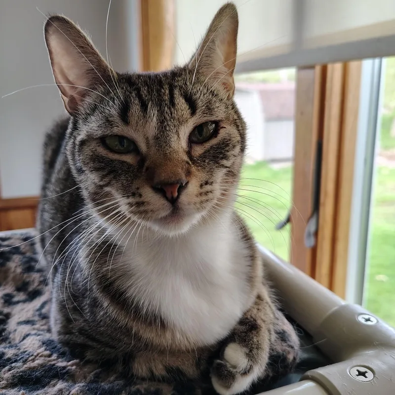 Skittles thumbnail 2