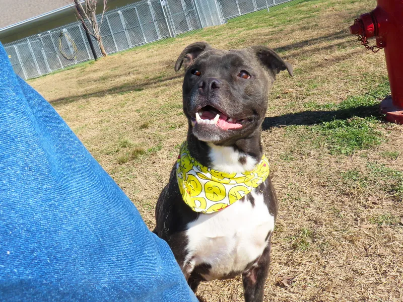 Ruby Sue  Cb thumbnail 3