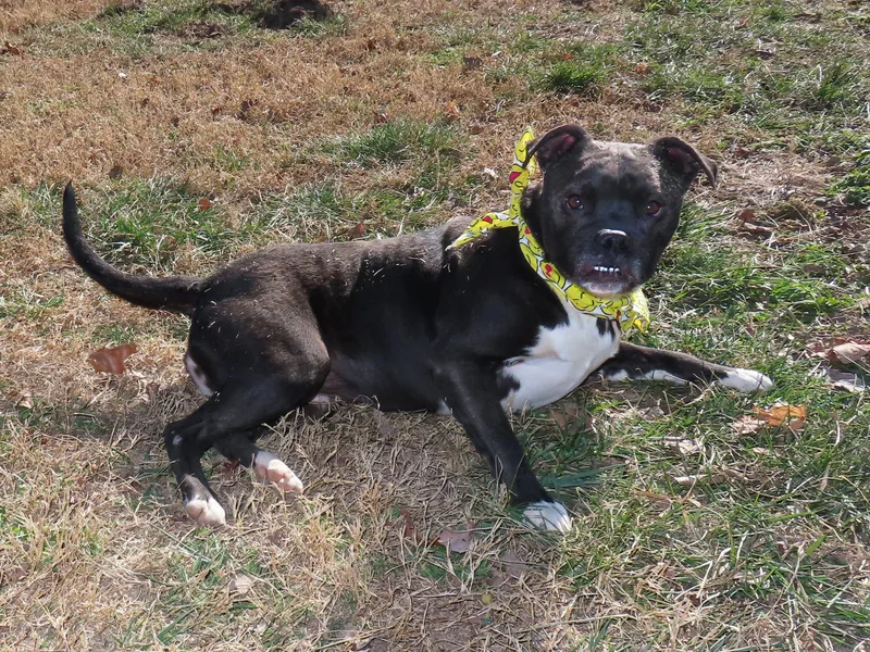 Ruby Sue  Cb thumbnail 5