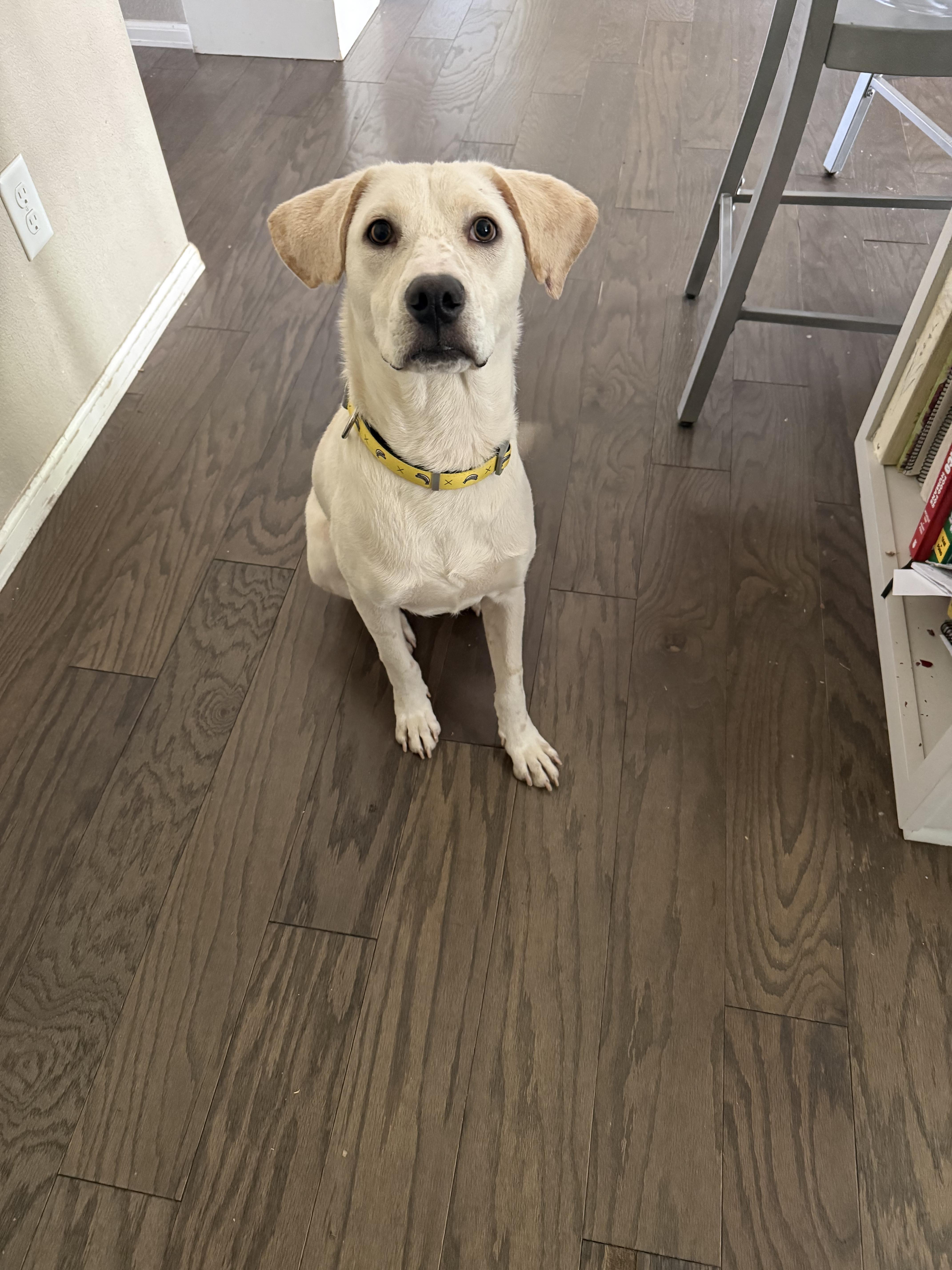 Pistachio