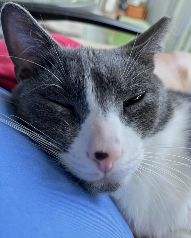 Skippy thumbnail 2