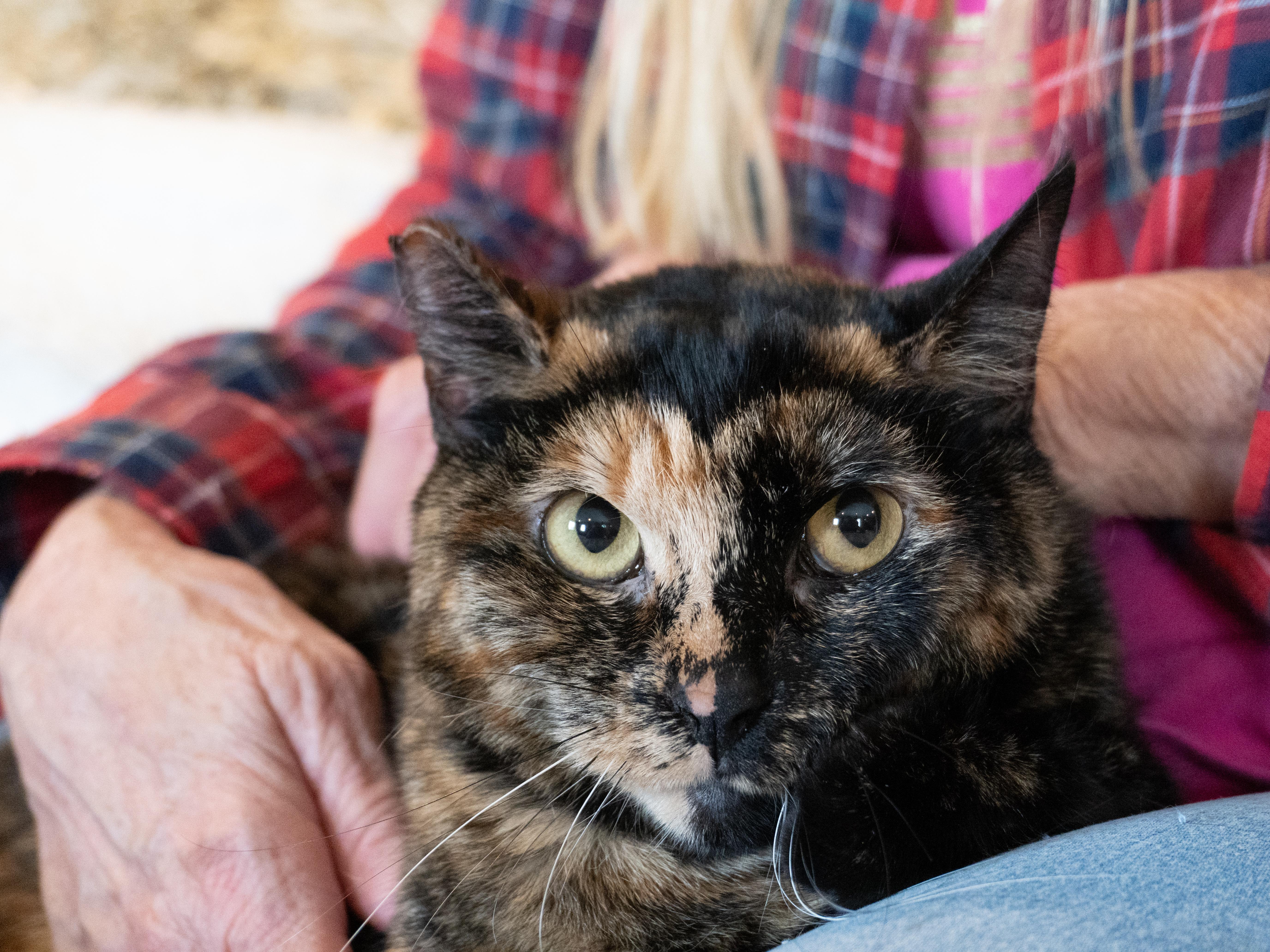 Bonnie & Clyde thumbnail 3