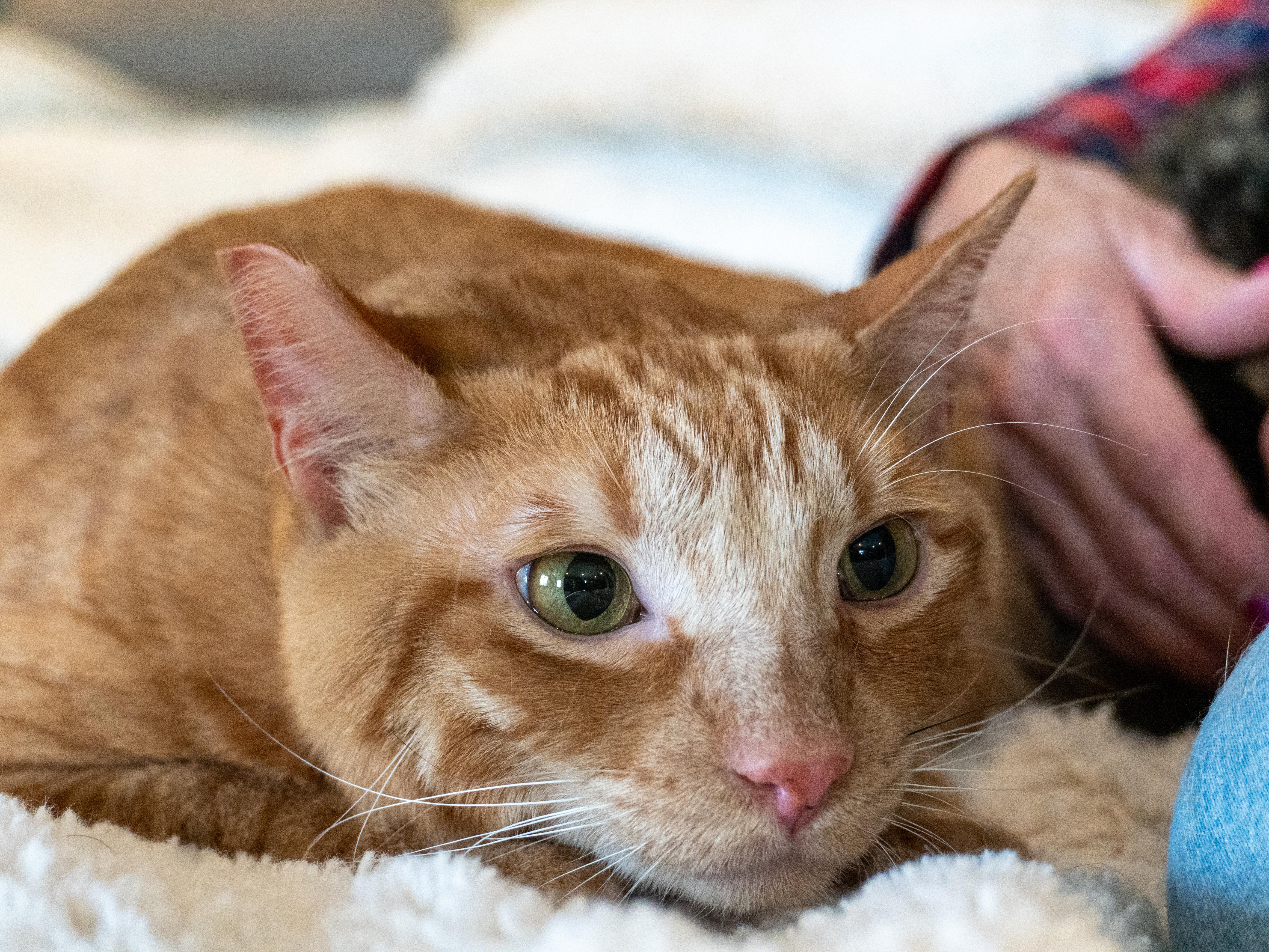 Bonnie & Clyde thumbnail 4