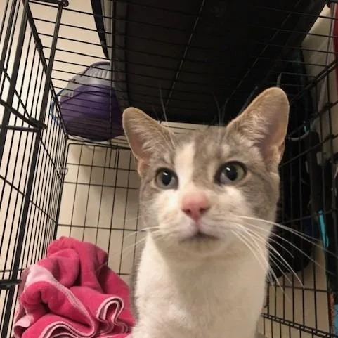 Christopher thumbnail 2