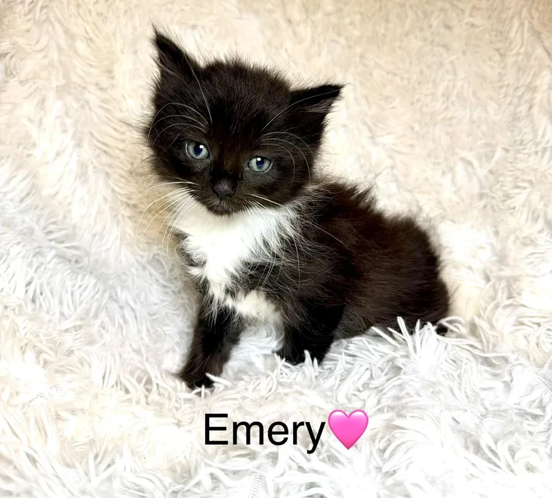 Emery