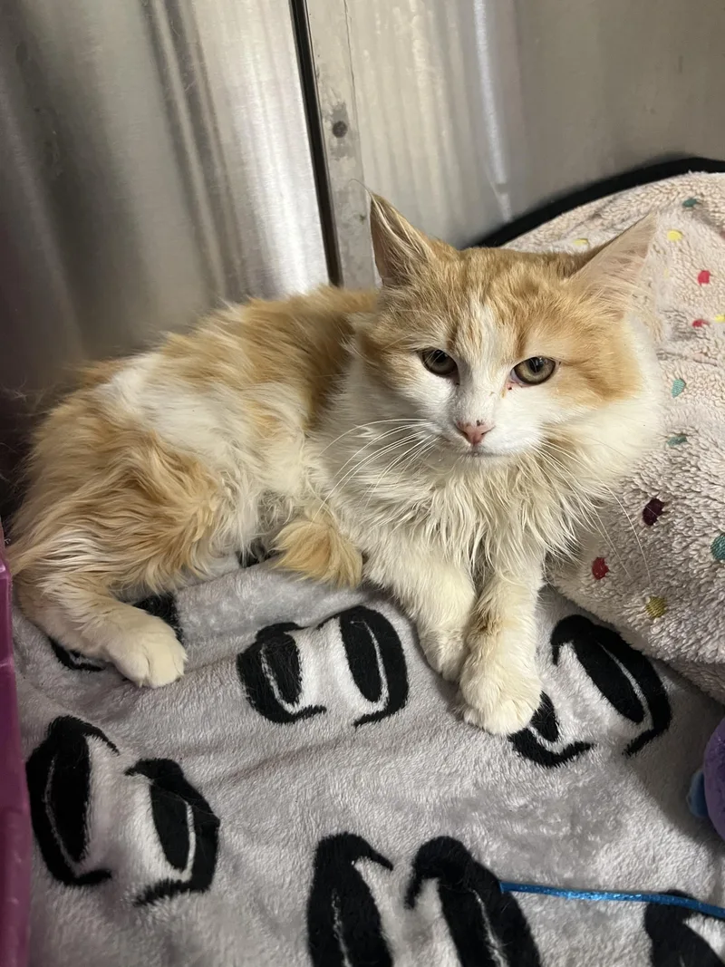 Merchant thumbnail 2