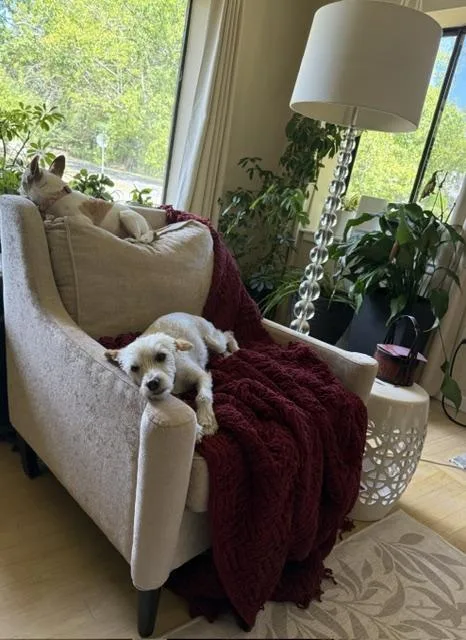 Mimi