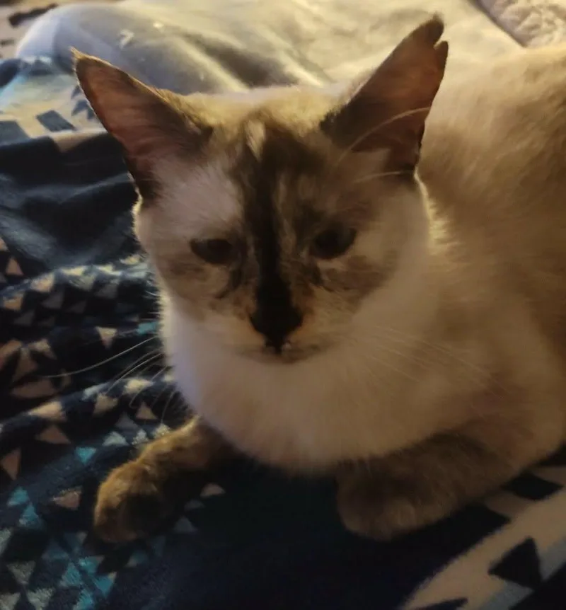 Sable Mae