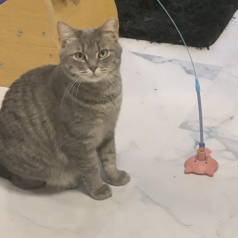 Serafina thumbnail 2