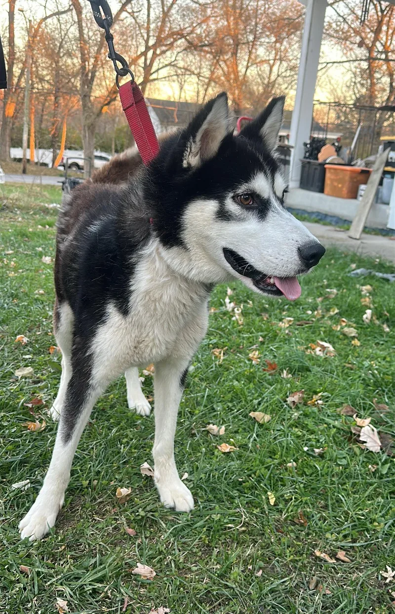 Sebastian! Excited Silly Goober! thumbnail 2