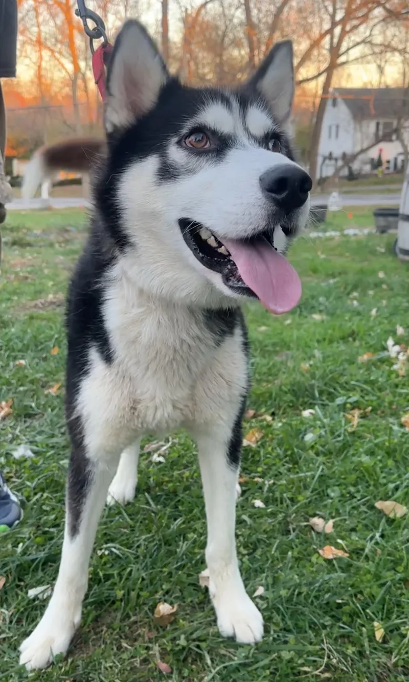 Sebastian! Excited Silly Goober!