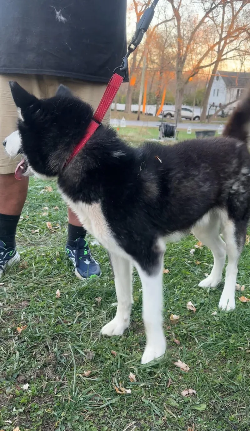 Sebastian! Excited Silly Goober! thumbnail 4