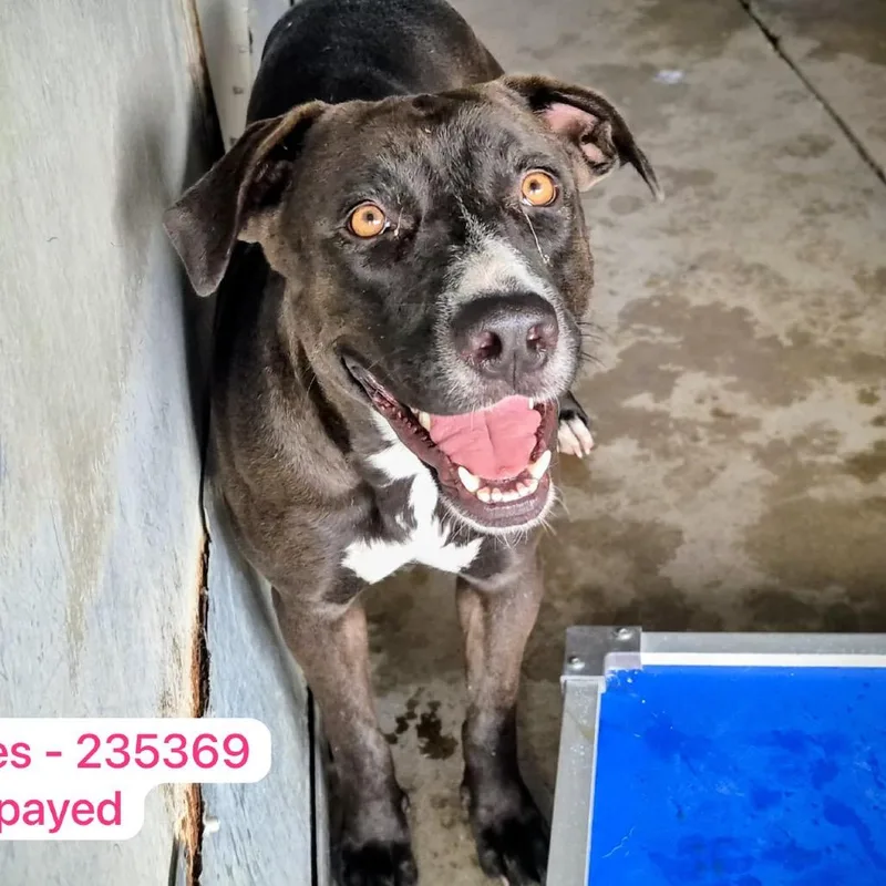 Sprinkles thumbnail 2