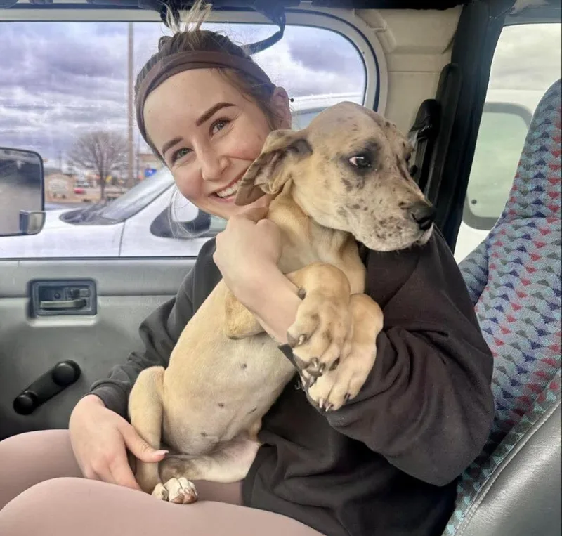 Anastaisa thumbnail 3