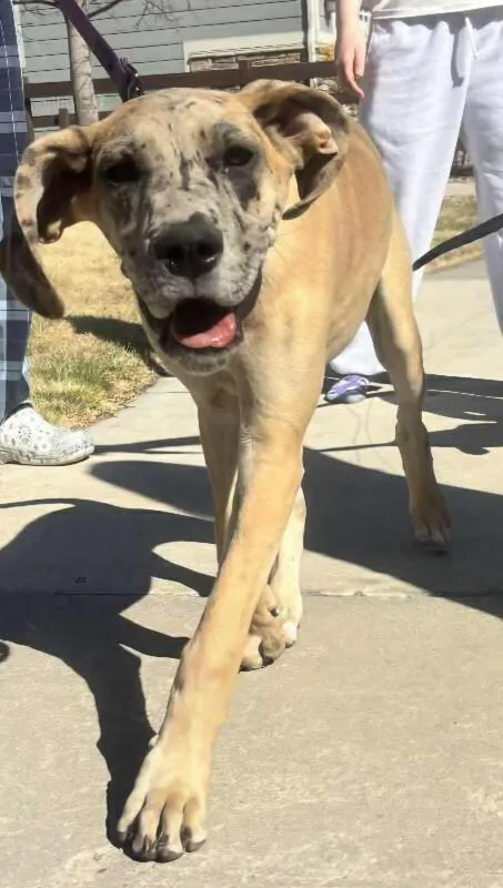 Anastaisa thumbnail 5