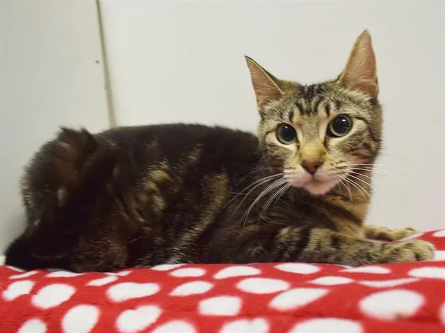 Mama Mae