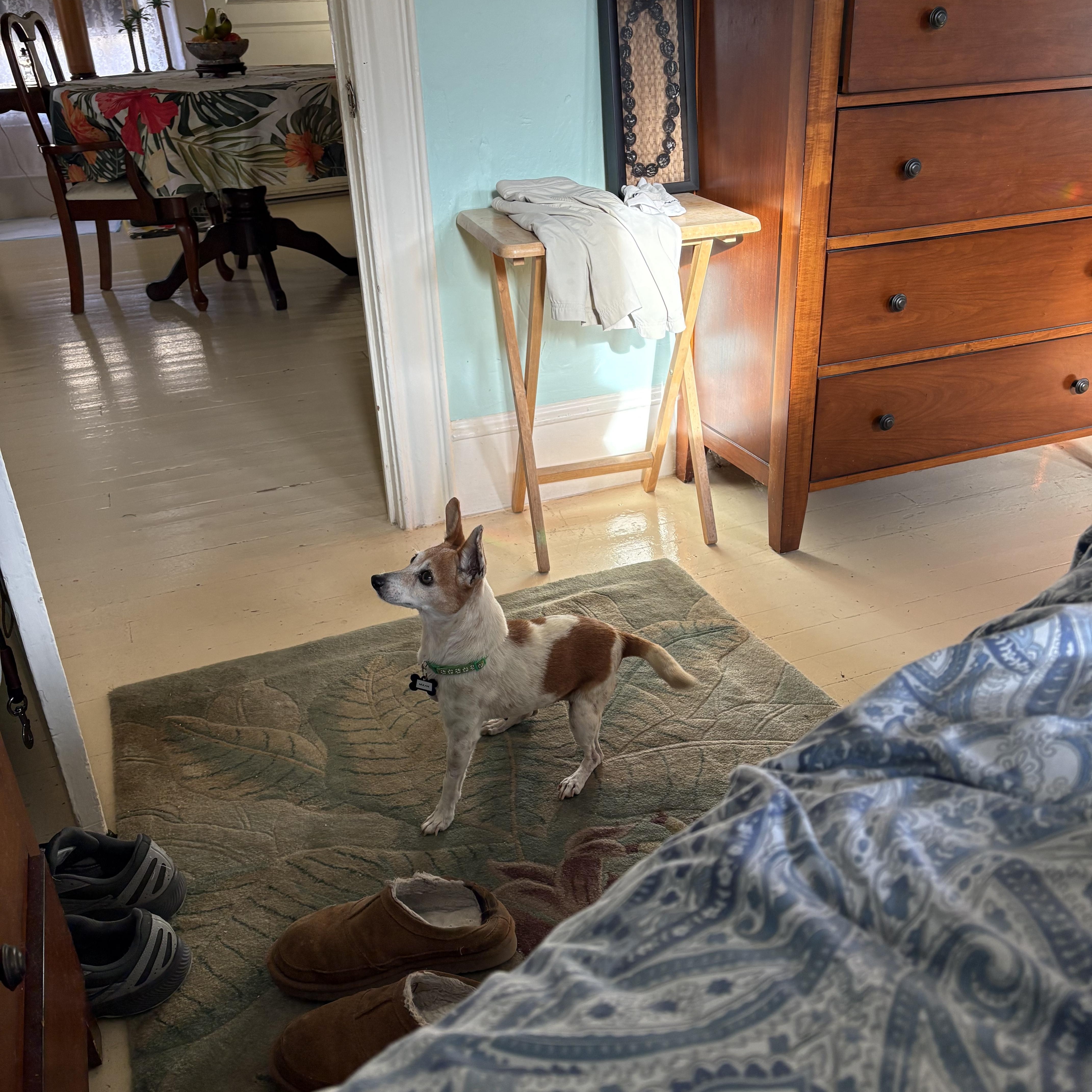 Mulan thumbnail 4