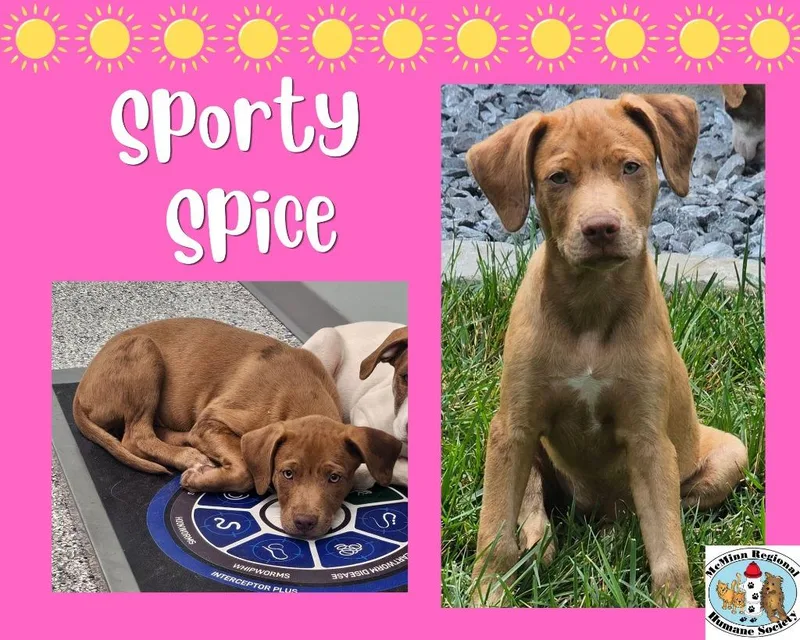 Sporty Spice thumbnail 2