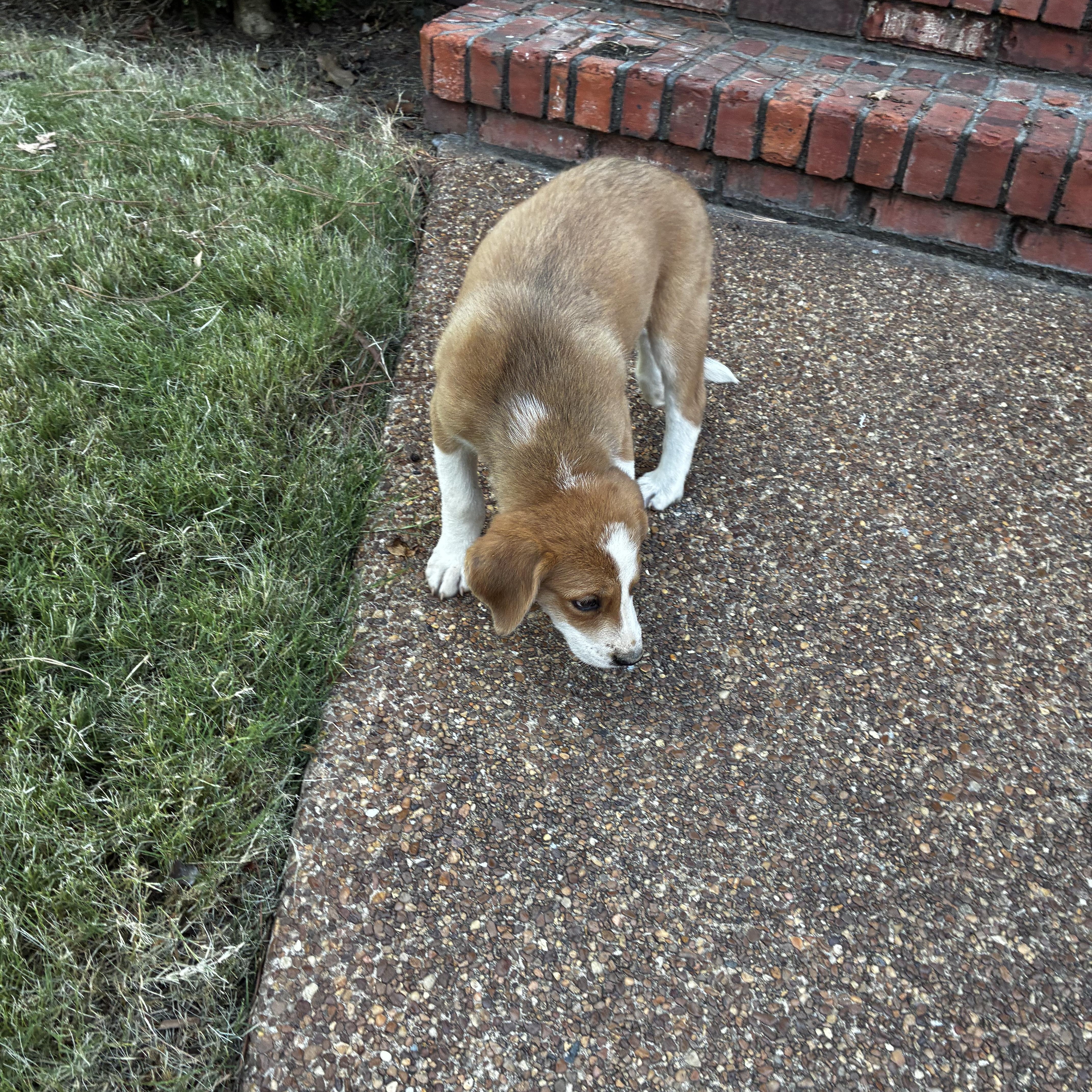 Buster thumbnail 2