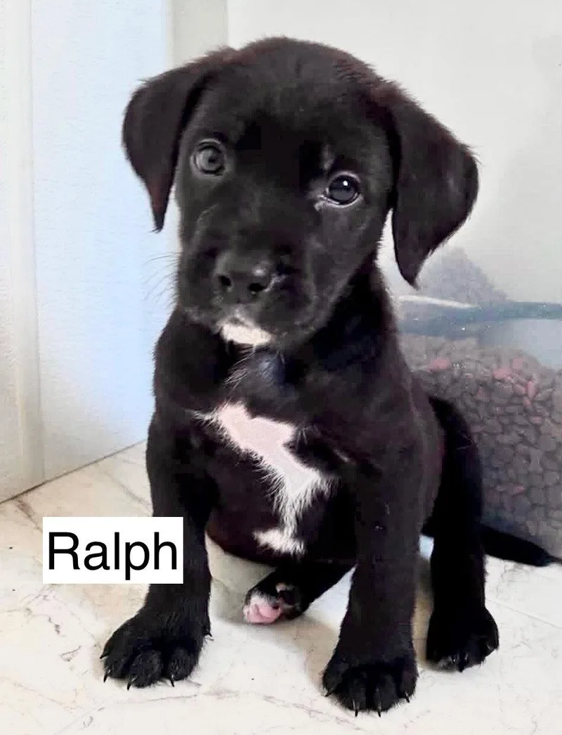 Ralph