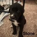Stone thumbnail 2