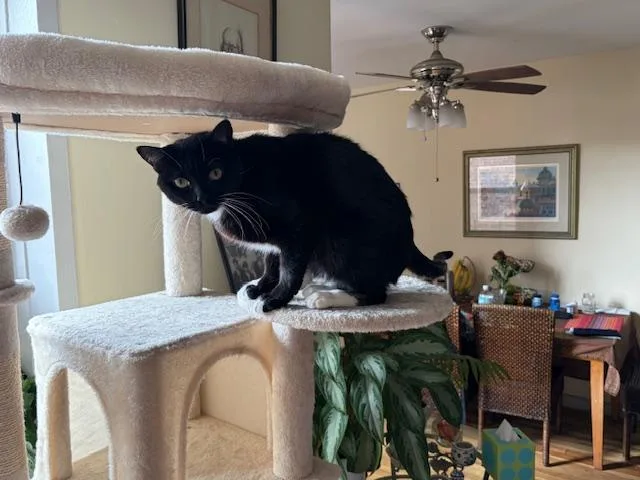 Edward Aka Eddie The thumbnail 3