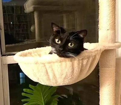 Edward Aka Eddie The