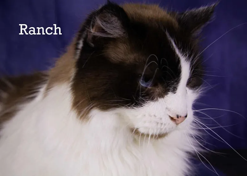 Baby And Ranch thumbnail 2