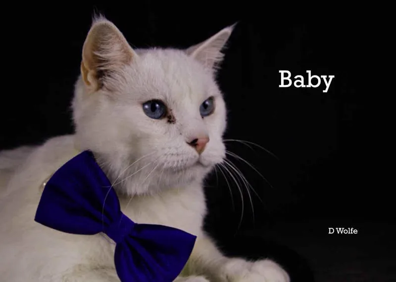 Baby And Ranch thumbnail 3
