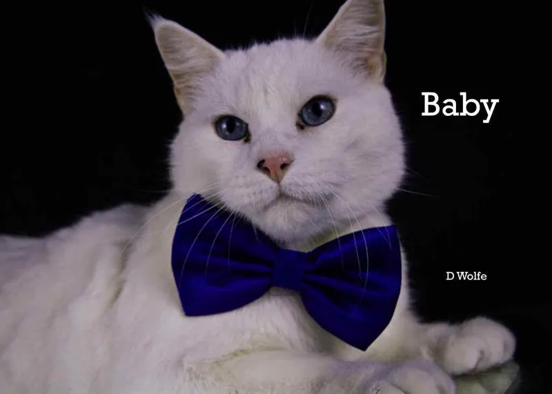 Baby And Ranch thumbnail 4