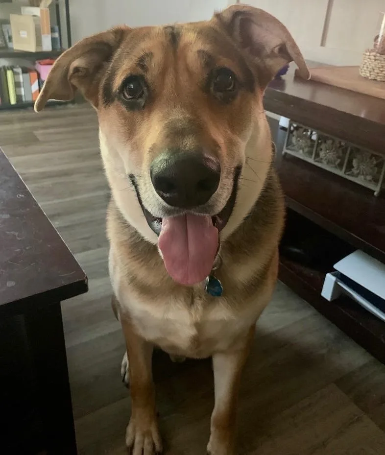 Boone