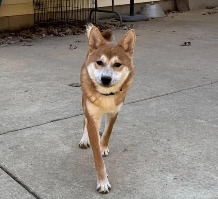 Paddington thumbnail 2