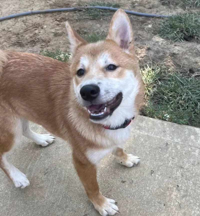 Paddington thumbnail 5